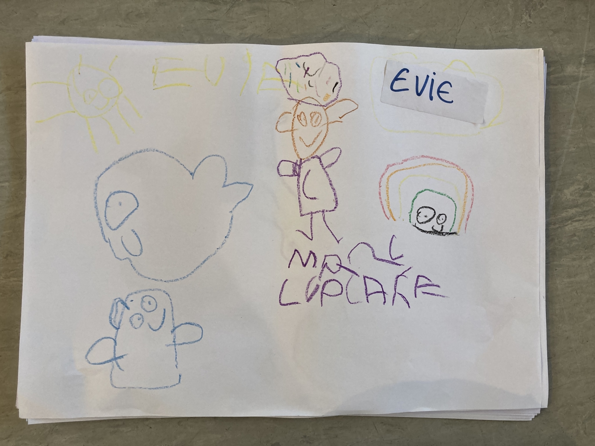 EVIE RD