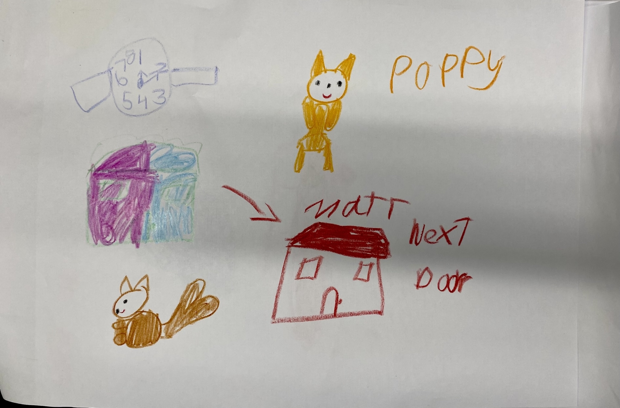 POPPY RD