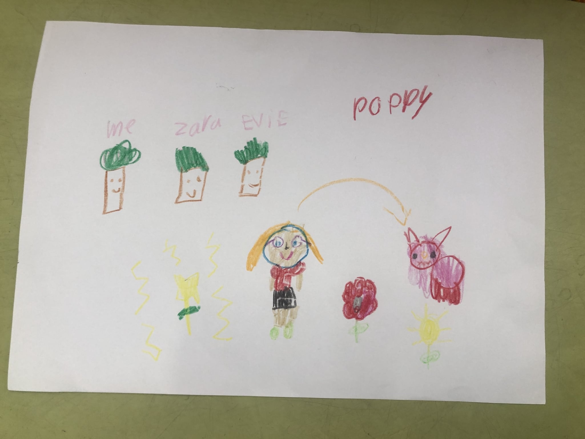 POPPY RD