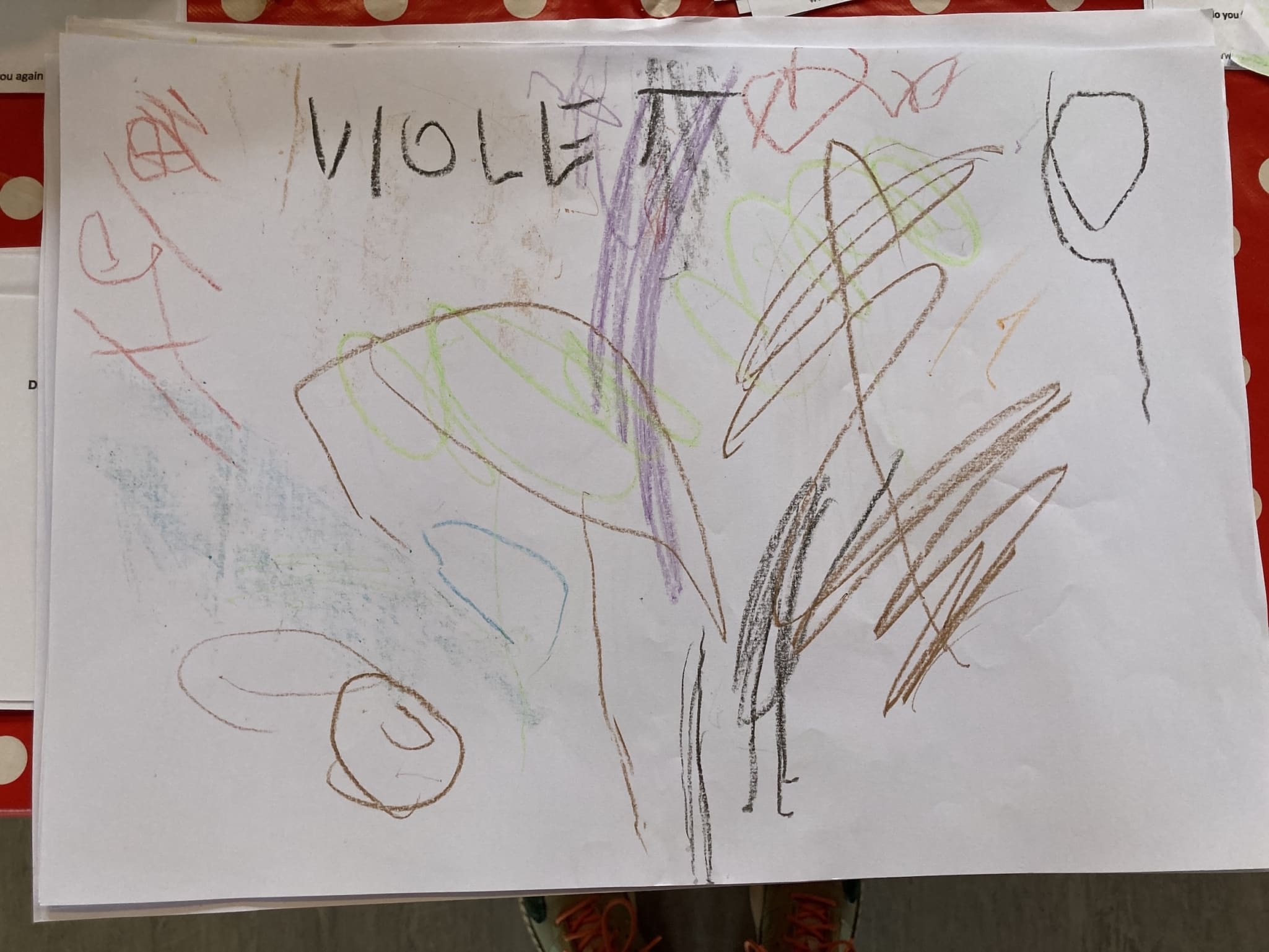 VIOLET RD