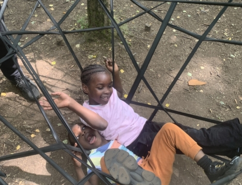 Forest Storyplay with Bridgeton Pals