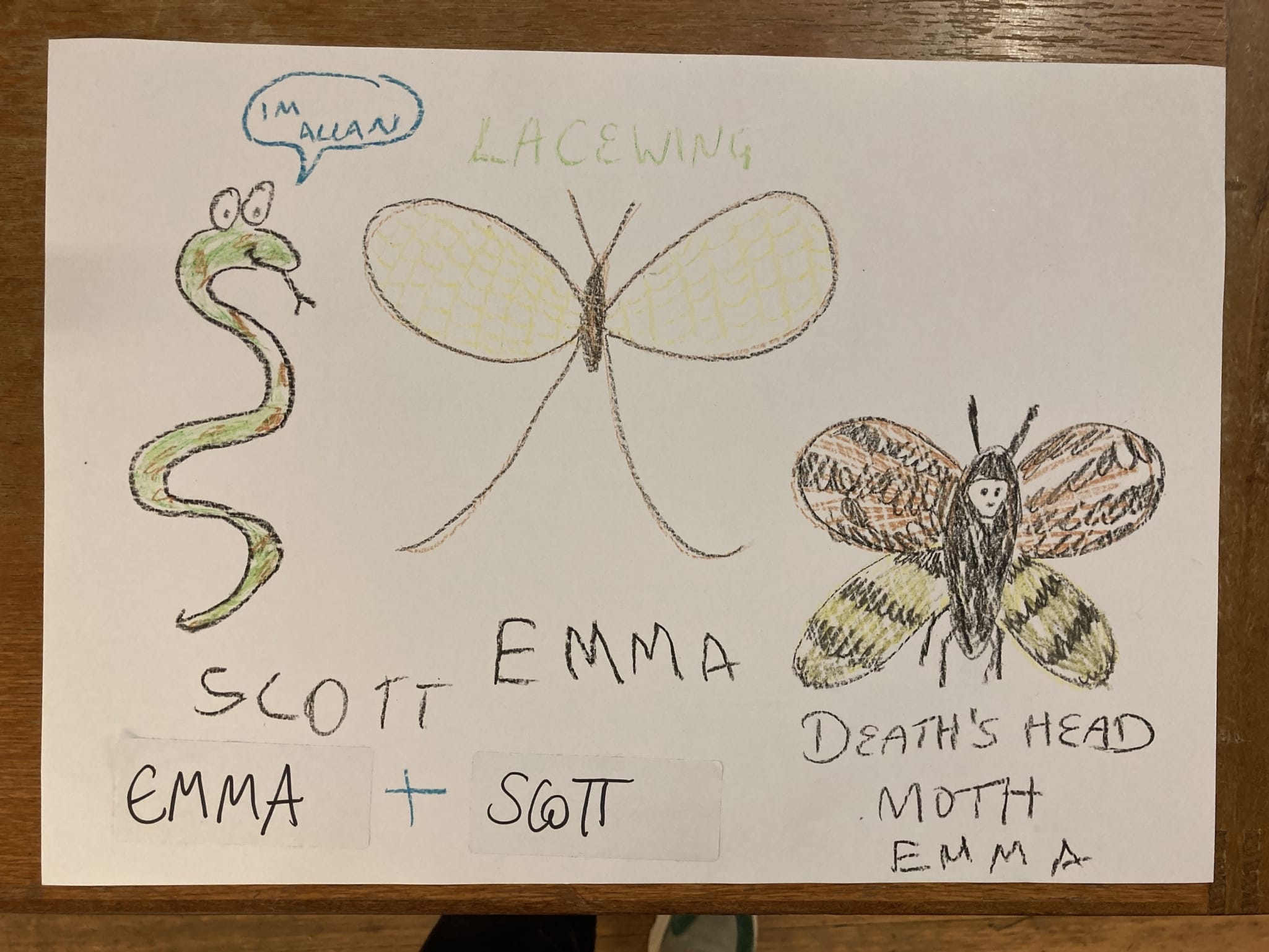 EMMA & SCOTT RD